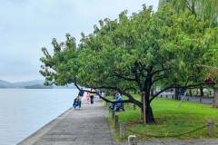 武汉三镇队中超逆转胜，打破连败魔咒，扬眉吐气